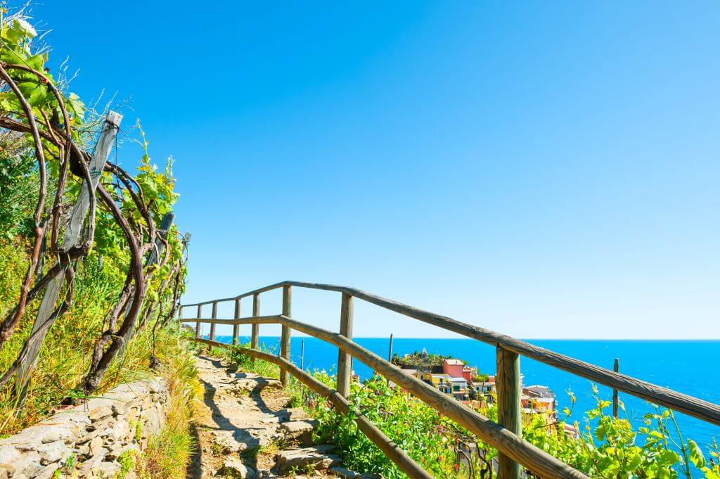 Pathway in vineyards cinque Terre italy