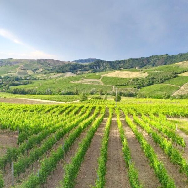 View from Borgoratto Mormorolo, Oltrepo Pavese, Italy
