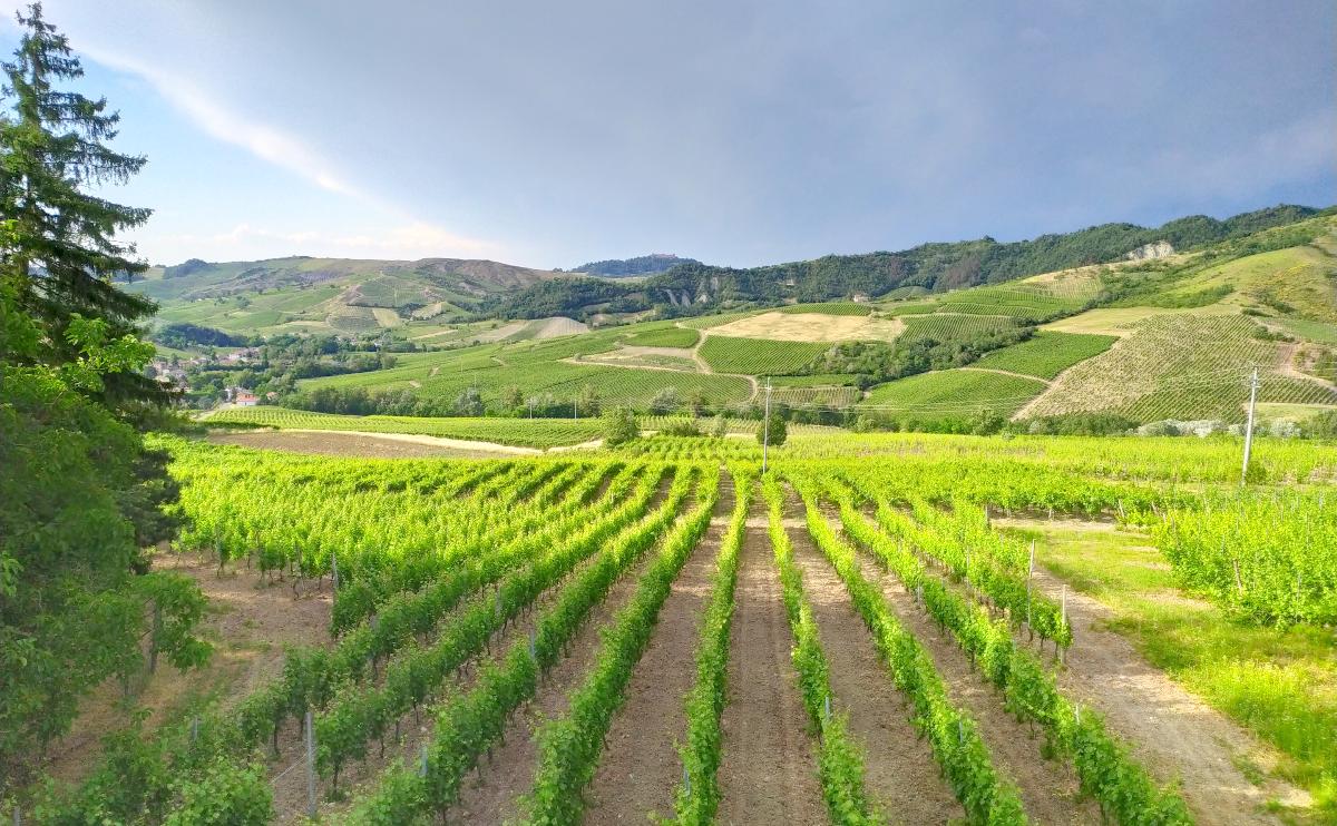 View from Borgoratto Mormorolo, Oltrepo Pavese, Italy
