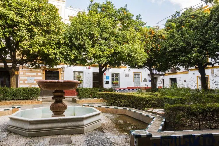 Fountain and vegetation at Doña Elvira Square